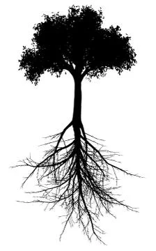 Tree with roots silhouette Stock Illustration