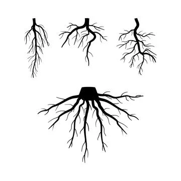 Tree roots system creating strong foundation network Stock Illustration