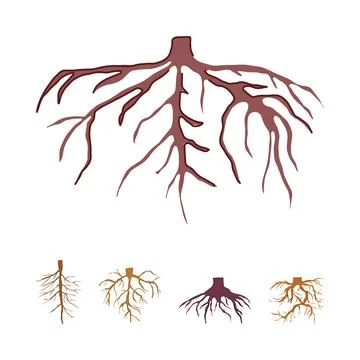 Tree roots system drawing foundation element vector illustration イラスト素材