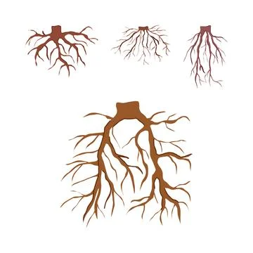 Tree roots system structure isolated illustration Stock Illustration