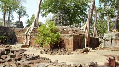 Tree roots at ta prohm temple angkor wat siem reap cambodia. no tourists - co 库存照片