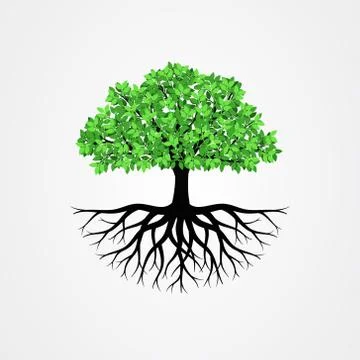 Tree with the roots vector illustration Stock Illustration