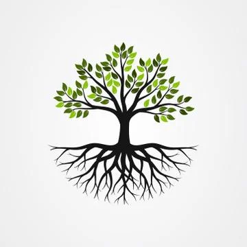 Tree with the roots vector illustration Stock Illustration