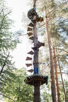 Tree ropes for climbing in the forest Stock Photos
