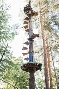 Tree ropes for climbing in the forest Stock Photos