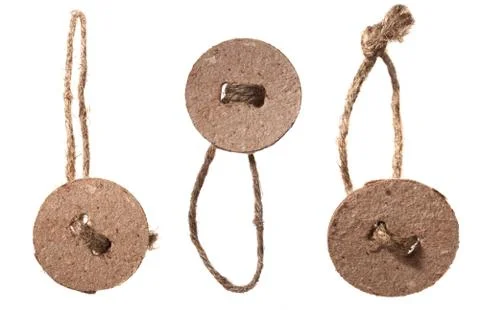 Tree rough hanged cardboard button TAGs with rope Stock Photos
