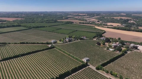 Tree rows and agricultural fields Stock Footage 347923313