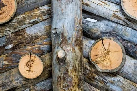 Tree saw with a pattern on the background of logs Stock Photos
