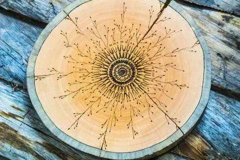 Tree saw with a pattern on the background of logs Stock Photos