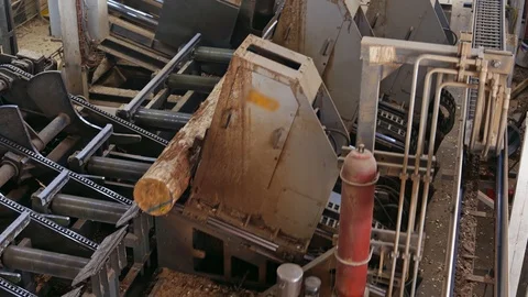 The tree sawmill factory Stock Footage 119264246