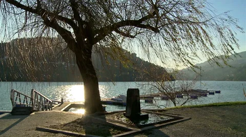 A tree scene in Douro river in Portugal. Video stock 63169376
