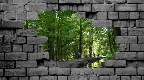 Tree scene through hole in wall Stock Footage 64785939