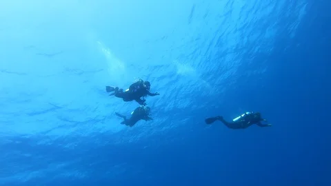 Tree scuba divers ascend in sunlit waters. 4k 動画素材 129115233