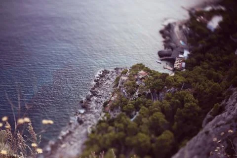 Tree with sea in the background Stock Photos