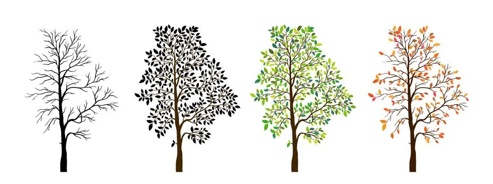 Tree seasons nature background. Vector illustration Stock Illustration