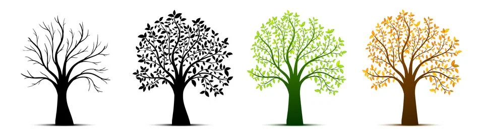 Tree seasons nature background. Vector illustration Stock Illustration