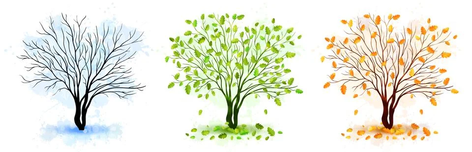 Tree seasons nature background. Vector illustration Stock Illustration