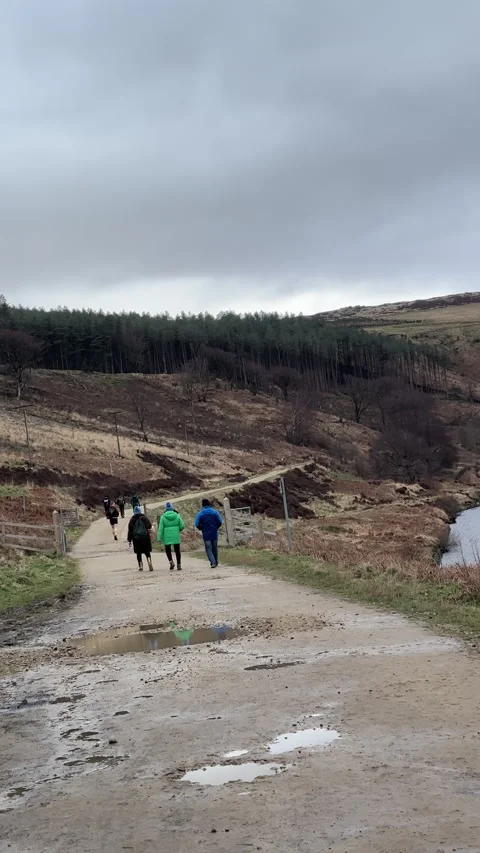 Tree seedlings on slope, people walking on bank of Yeoman Hey reservoir Stock-Footage 330062163
