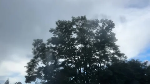 Tree Seen Through Blurred Wet Window Glass After Summer Rain Stock Footage 340338597
