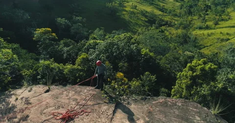 Tree. "Serras Gerais" in the state of Tocantins in Brazil	 Stock Footage 162520577
