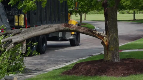 Tree service worker cutting fallen tree branch with chainsaw near utility truck Stock Footage 335958903