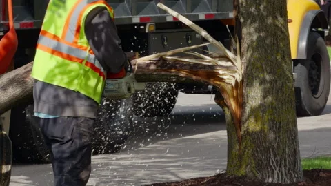 Tree service worker cutting fallen tree branch with chainsaw near utility truck Stock Footage 335958941