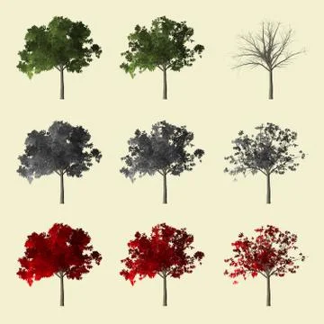 Tree set for architecture landscape design, tree object collection set isolated  Illustrazione stock