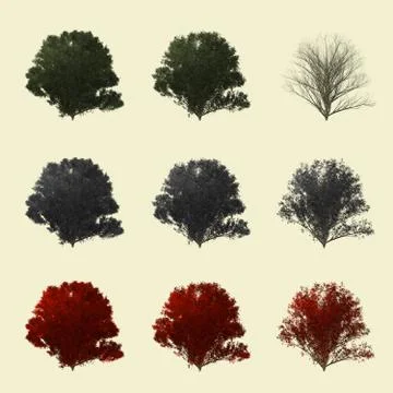 Tree set for architecture landscape design, tree object collection set isolated  Illustrazione stock
