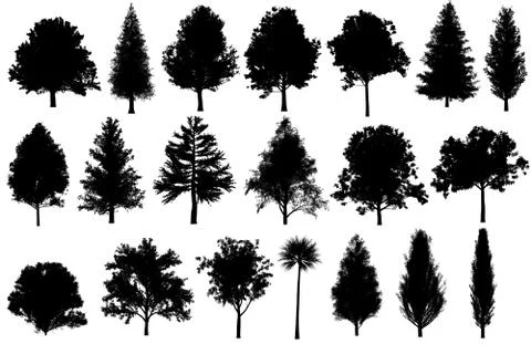 Tree set Silhouettes for architecture landscape design, tree object collect.. Stock Illustration