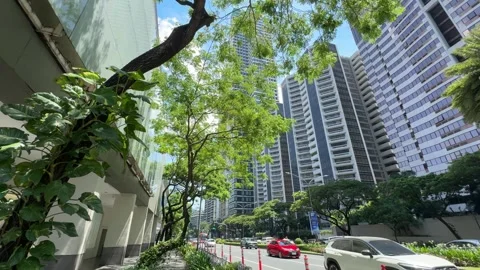 Tree-shaded city sidewalk and street traffic along Ayala Avenue Makati 4k 스톡 동영상 337443386