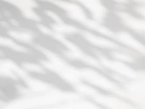 Tree shadow and leaf branch background. Stock Photos