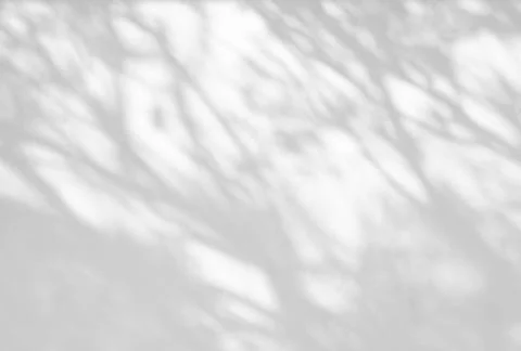 Tree shadow and leaf branch background Stock Photos
