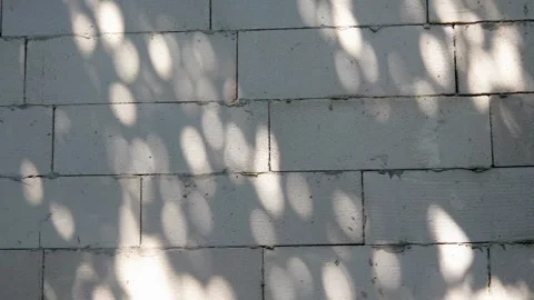 Tree shadow and sunlight on a brick wall Stock Footage 310124030