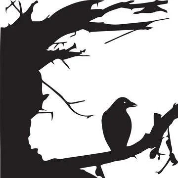 Tree shadow with crow design vector illustration. Stock Illustration