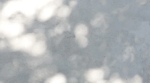 Tree shadow Stock Footage 47465891