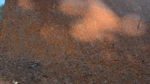 Tree shadow Stock Footage 53746520