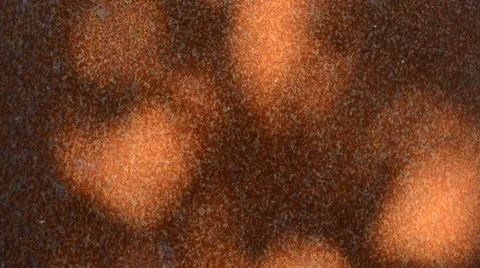 Tree shadow Stock Footage 53746531