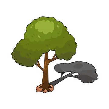 Tree shadow illustration Stock Illustration
