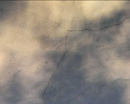 Tree shadow on the lightened wall Video stock 88116