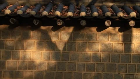 Tree shadow on oriental stone wall Stock Footage 8969181