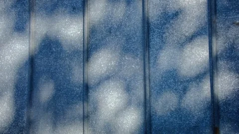 Tree Shadow Pattern on Blue Fence Stock Footage 347459633