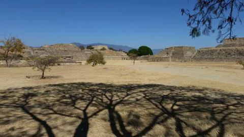Tree shadow Stock Photos