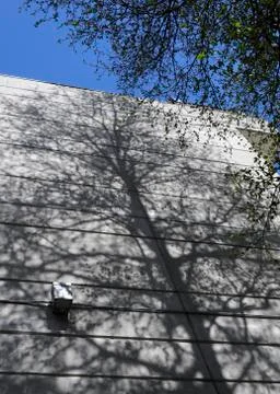 Tree shadow Stock Photos