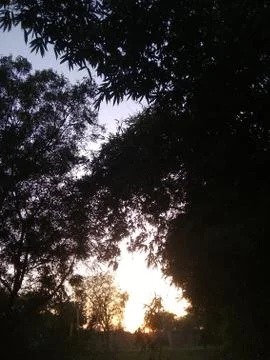 A tree shadow Stock Photos