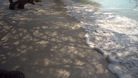 Tree shadow at sea shore. Stockbeeldmateriaal 151459792