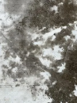 Tree Shadow Silhouettes Dappled Across Weathered Concrete Surface Stock Photos