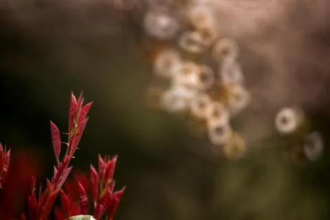 Tree shadow spot Stock Photos