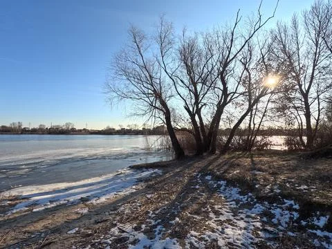 Tree shadow. sun through the branches. tree on the coast. winter landscape... Фото
