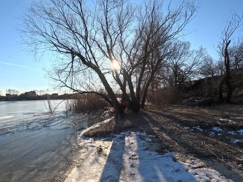 Tree shadow. sun through the branches. tree on the coast. winter landscape... Stock Photos