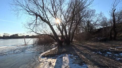 Tree shadow. sun through the branches. tree on the coast. winter landscape... Stock Photos